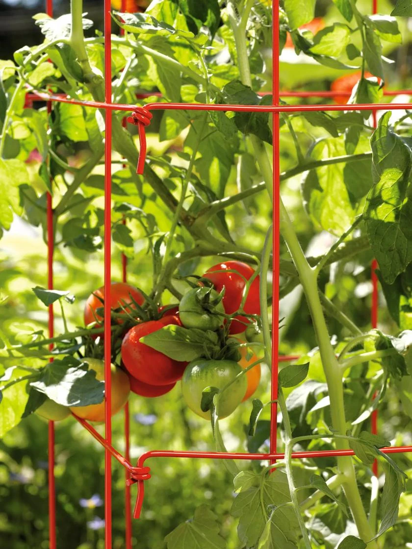 Tomato Towers, Set Of 2 4 Tomato Towers, Set Of 2 - Image 2