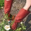 Rose Gloves -Gardening Supplies Store 36874 0026 tif