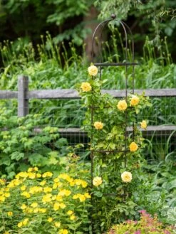 Jardin Round Obelisk, 7' 9 Jardin Round Obelisk, 7' -Gardening Supplies Store 39 530 1668 tif