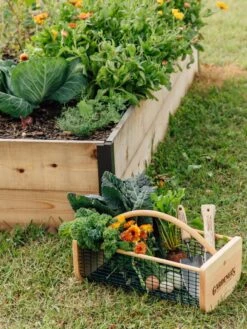 Garden Hods -Gardening Supplies Store 39 761 572 tif