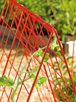 Deluxe Cucumber Trellis 12 Deluxe Cucumber Trellis -Gardening Supplies Store 39806 542 tif