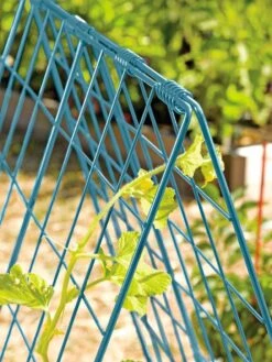 Deluxe Cucumber Trellis 14 Deluxe Cucumber Trellis -Gardening Supplies Store 39806 BLUE 100 tif