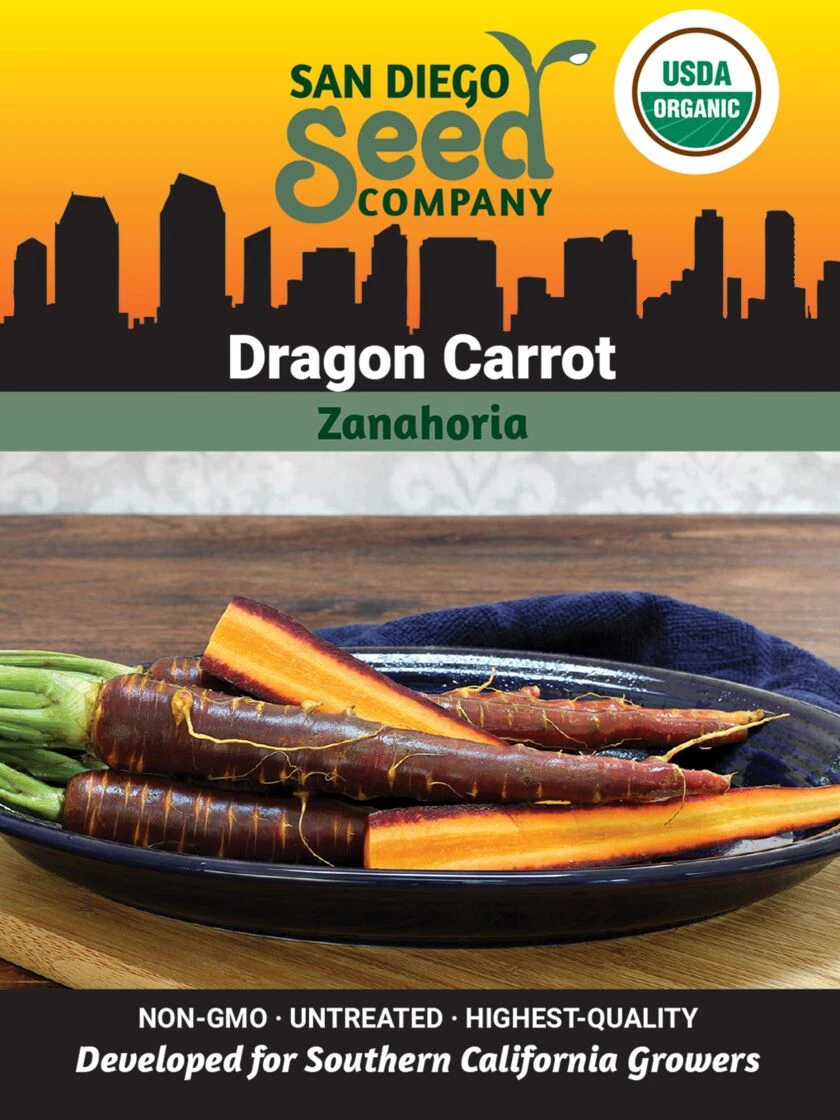 Carrot, Dragon Organic Seeds 3 Carrot, Dragon Organic Seeds