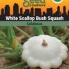 Squash, White Scallop Bush Summer Organic Seeds -Gardening Supplies Store 3 4 crop 84589 8613564 Squash White Scallop Bush