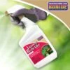 Bonide® Japanese Beetle Killer -Gardening Supplies Store 3 4 crop 8586927 01V 3 4