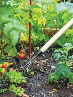 Gardener's Lifetime Long-Handled Double Tool -Gardening Supplies Store 3 4 crop 8592107 2460 tif