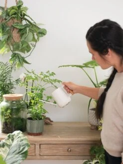 Pinpoint Indoor Watering Can -Gardening Supplies Store 3 4 crop 8612963 3774