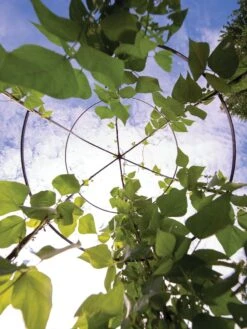 Jardin Tower 12 Jardin Tower -Gardening Supplies Store 3 4 crop 8612997 0033