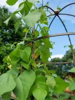 Jardin Tower 10 Jardin Tower -Gardening Supplies Store 3 4 crop 8612997 0058