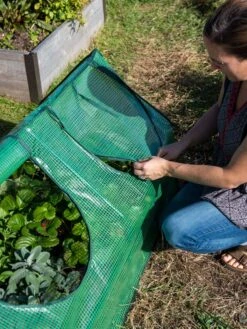 Multi Cloche 15 Multi Cloche -Gardening Supplies Store 3 4 crop 8613213 0245