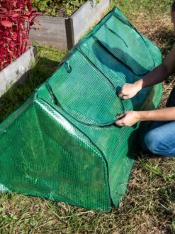 Multi Cloche 14 Multi Cloche -Gardening Supplies Store 3 4 crop 8613213 0250