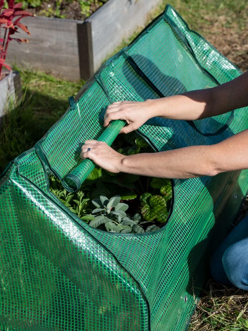 Multi Cloche 7 Multi Cloche - Image 5