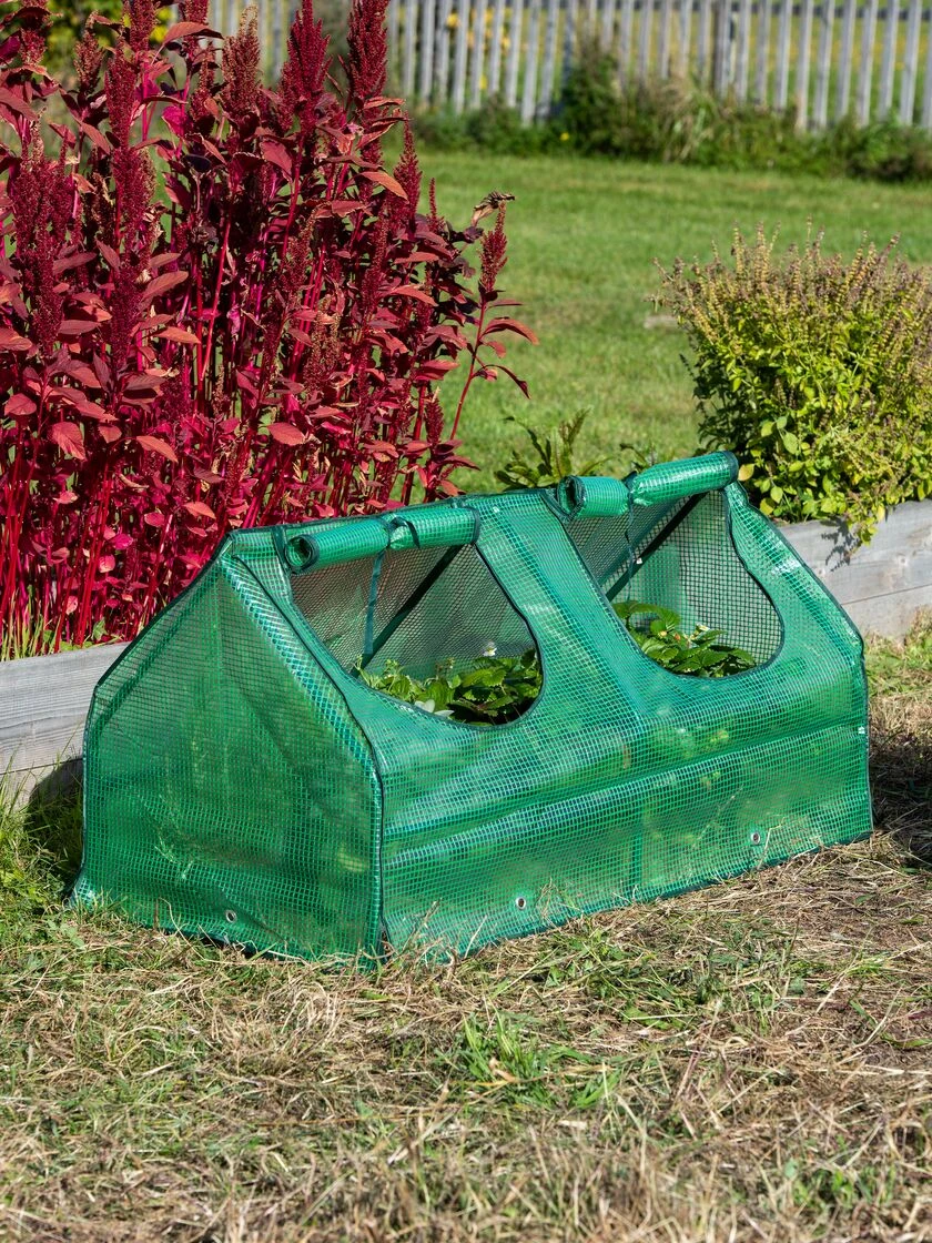 Multi Cloche 3 Multi Cloche