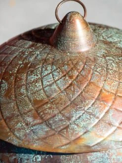 Acorn Hose Pot -Gardening Supplies Store 3 4 crop 8613361 0045