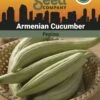 Armenian Cucumber Organic Seeds 2 Armenian Cucumber Organic Seeds -Gardening Supplies Store 3 4 crop 8613866 81608 Cucumber Armenian SDSC