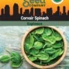 Corvair Spinach Organic Seeds -Gardening Supplies Store 3 4 crop 8613868 06842 Spinach Corvair SDSC