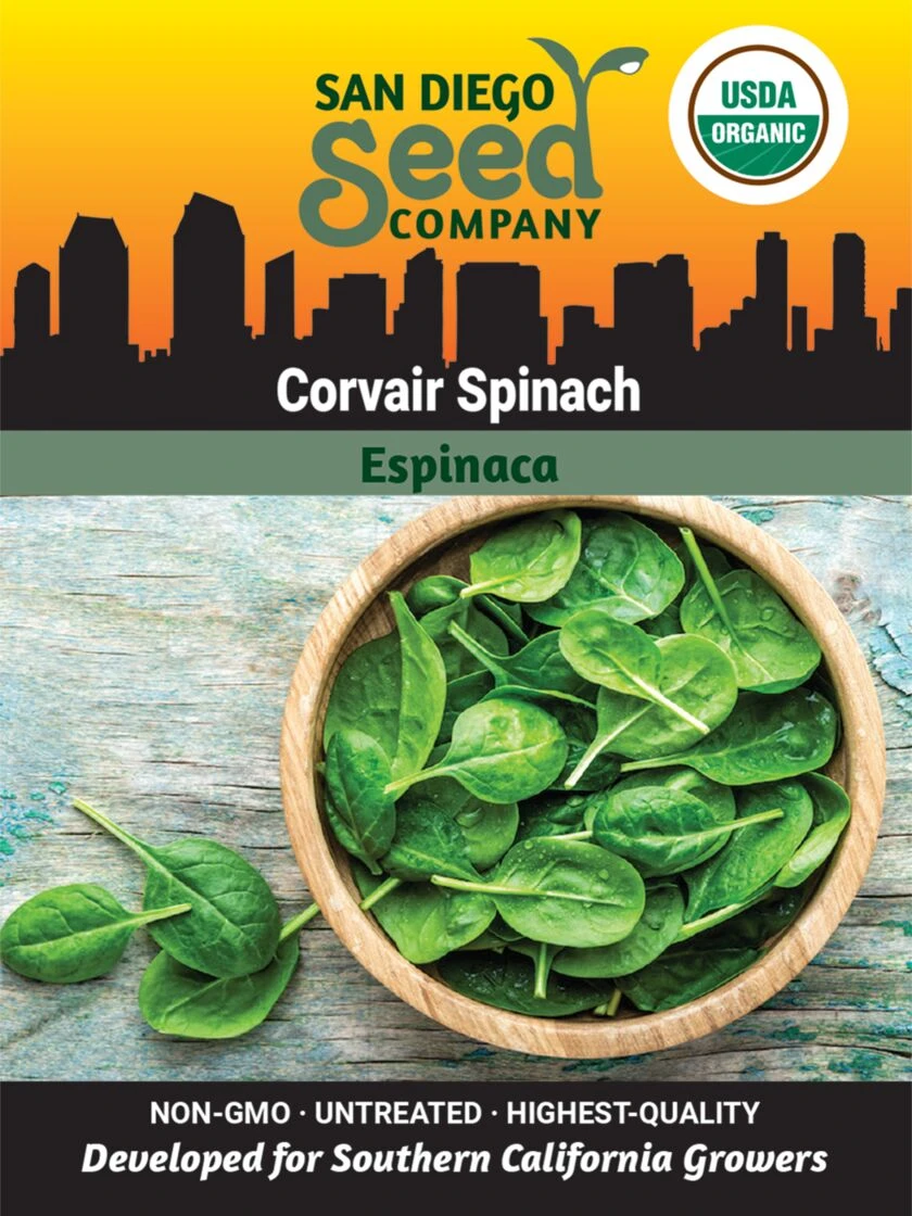 Corvair Spinach Organic Seeds 3 Corvair Spinach Organic Seeds