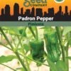 Pepper, Padron Organic Seeds 2 Pepper, Padron Organic Seeds -Gardening Supplies Store 3 4 crop 87466 8613547 Pepper Padron SDSC
