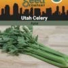 Celery, Utah Organic Seeds 2 Celery, Utah Organic Seeds -Gardening Supplies Store 3 4 crop 88854 8613558 Celery Utah SDSC