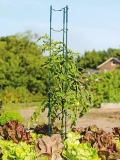 Stacking Tomato Ladders, Set Of 6 -Gardening Supplies Store 40309 100 tif