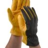 Men's Gold Leaf Dry Touch™ Gloves 2 Men's Gold Leaf Dry Touch™ Gloves -Gardening Supplies Store 8586890 508