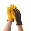 Women's Gold Leaf Dry Touch™ Gloves