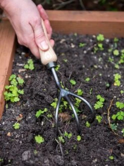 Featured Products -Gardening Supplies Store 8586971 3014 tif