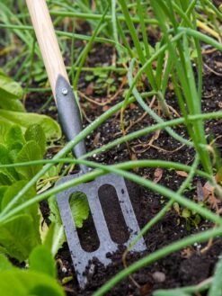 Gardener's Lifetime Spork 10 Gardener's Lifetime Spork -Gardening Supplies Store 8586973 2383 tif