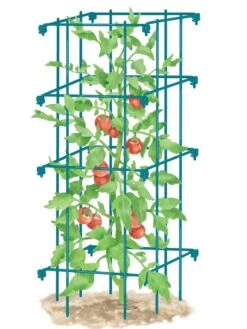 Tomato Cage, Single -Gardening Supplies Store 8587039 TomatoCage BLUE tif
