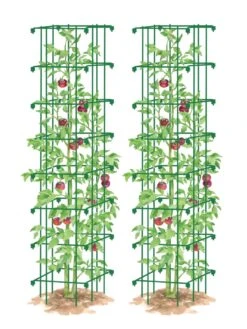 Tomato Towers, Set Of 2 9 Tomato Towers, Set Of 2 -Gardening Supplies Store 8587041 0006 GRN tif