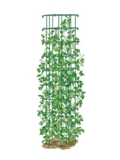 Bean Tower -Gardening Supplies Store 8587060 0008 GRN tif