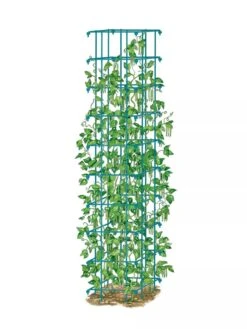 Bean Tower -Gardening Supplies Store 8587060 BeanTower BLUE