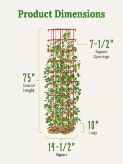 Bean Tower -Gardening Supplies Store 8587060 dimensions