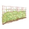 Expandable Pea Trellis -Gardening Supplies Store 8587061 PeaFence Red 001E tif