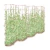 Tall Expandable Pea Trellis 2 Tall Expandable Pea Trellis -Gardening Supplies Store 8587062 0001 RED tall expandable pea trelis tif