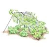 Large Cucumber Trellis 1 Large Cucumber Trellis -Gardening Supplies Store 8587082 CukeTrellis L Blk 001E tif