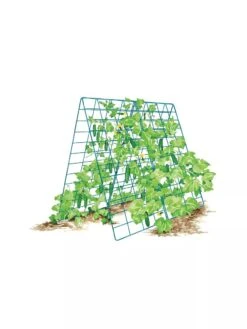 Deluxe Cucumber Trellis 17 Deluxe Cucumber Trellis -Gardening Supplies Store 8587083 001 BLUE Cukes two sided deluxe cucumber trellis support storm blue 3 4