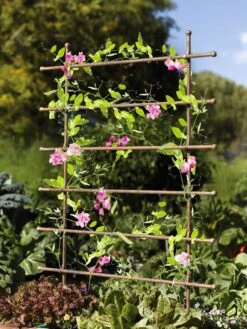 Jardin Ladder Trellis -Gardening Supplies Store 8587107 083 tif