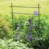 Jardin Ladder Trellis -Gardening Supplies Store 8587107 1651 tif