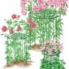 Grow Through Supports, Set Of 3 -Gardening Supplies Store 8587111RS 001E 1