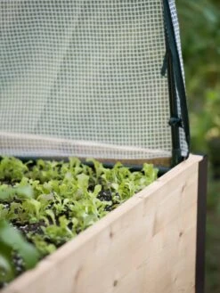 Protection Frame & Covers, 2' X 4' 10 Protection Frame & Covers, 2' X 4' -Gardening Supplies Store 8587631 265 tif 1