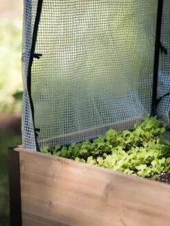 Protection Frame & Covers, 2' X 4' 11 Protection Frame & Covers, 2' X 4' -Gardening Supplies Store 8587631 268 tif 1