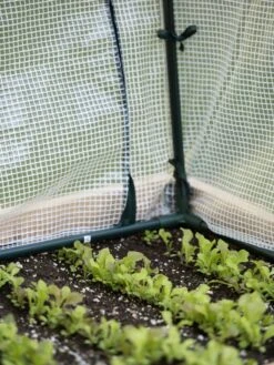 Protection Frame & Covers, 2' X 4' 12 Protection Frame & Covers, 2' X 4' -Gardening Supplies Store 8587631 271 tif 1