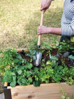 Gardener's Lifetime Raised Bed Trowel 7 Gardener's Lifetime Raised Bed Trowel -Gardening Supplies Store 8588014 4084 tif