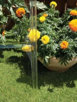 Canopia® By Palram Harmony™ Greenhouse, 6' -Gardening Supplies Store 8588022 005V tif