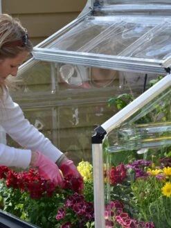 Canopia® By Palram Plant Inn™ Raised Bed Greenhouse, 4' X 4' -Gardening Supplies Store 8588308 04V tif