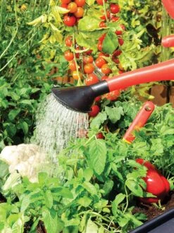 Canopia® By Palram Plant Inn™ Raised Bed Greenhouse, 4' X 4' -Gardening Supplies Store 8588308 06V tif