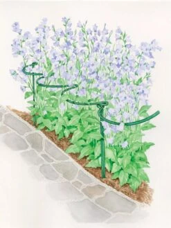 Tidy Path Supports -Gardening Supplies Store 8588403 003 1