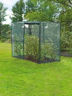 Crop Cage, 4' X 8' 16 Crop Cage, 4' X 8' -Gardening Supplies Store 8589160 002 tif