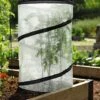 Pop-Up Tomato Accelerator 1 Pop-Up Tomato Accelerator -Gardening Supplies Store 8589749 4171 pop up tomato plant protector and accelerator tif